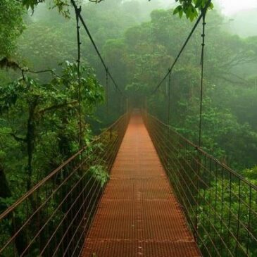 Floresta Amazônica